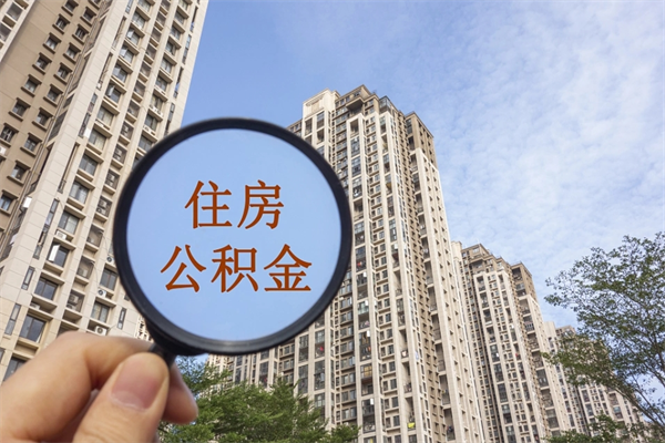 鹤岗离职多久可以取住房公积金(离职多久后能取公积金) 鹤岗离职多久可以取住房公积金(离职多久后能取公积金)